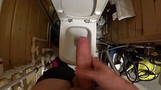 Jerking off in a toilet - porn video